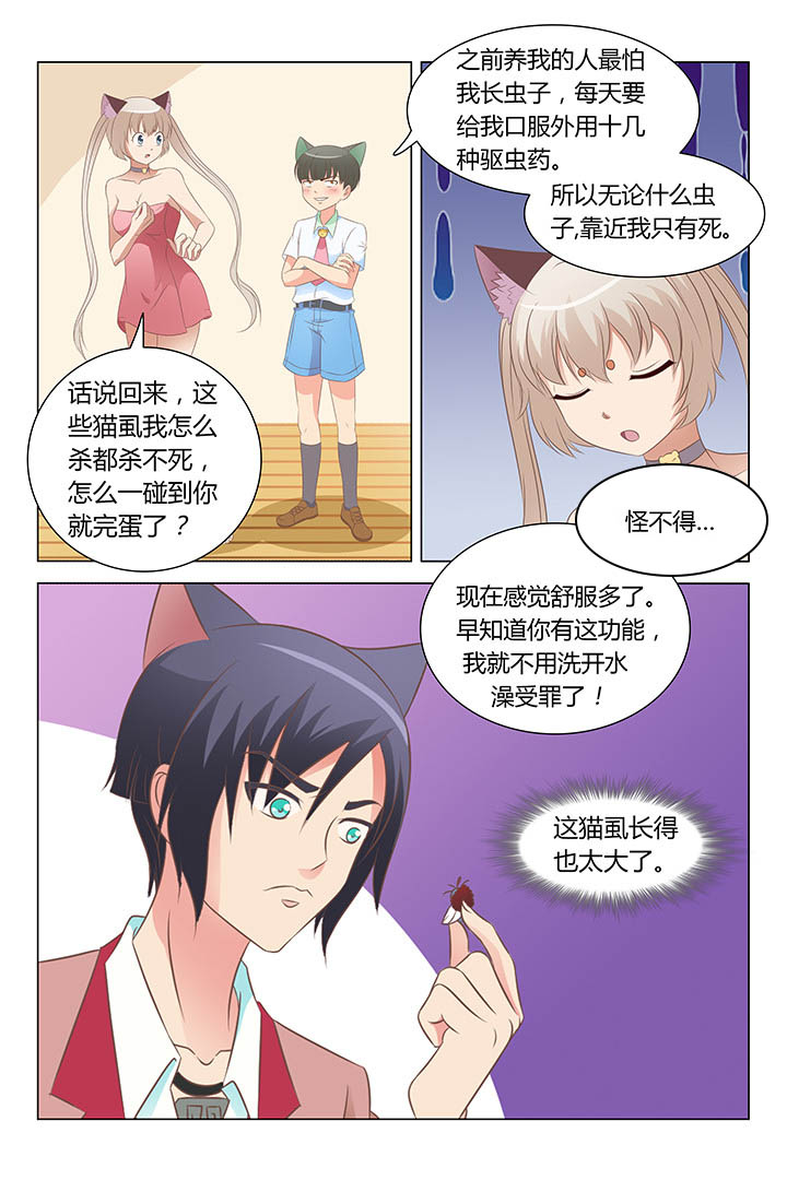 喵即正义漫画,第108章：1图