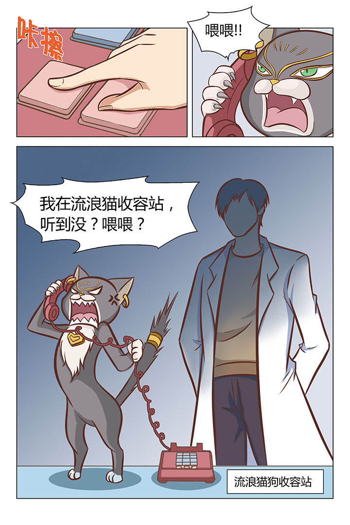 喵即正义漫画,第17章：1图