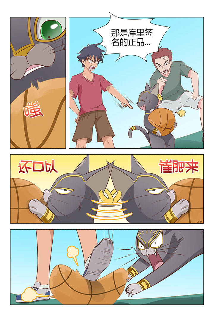 猫即正义漫画,第18章：1图