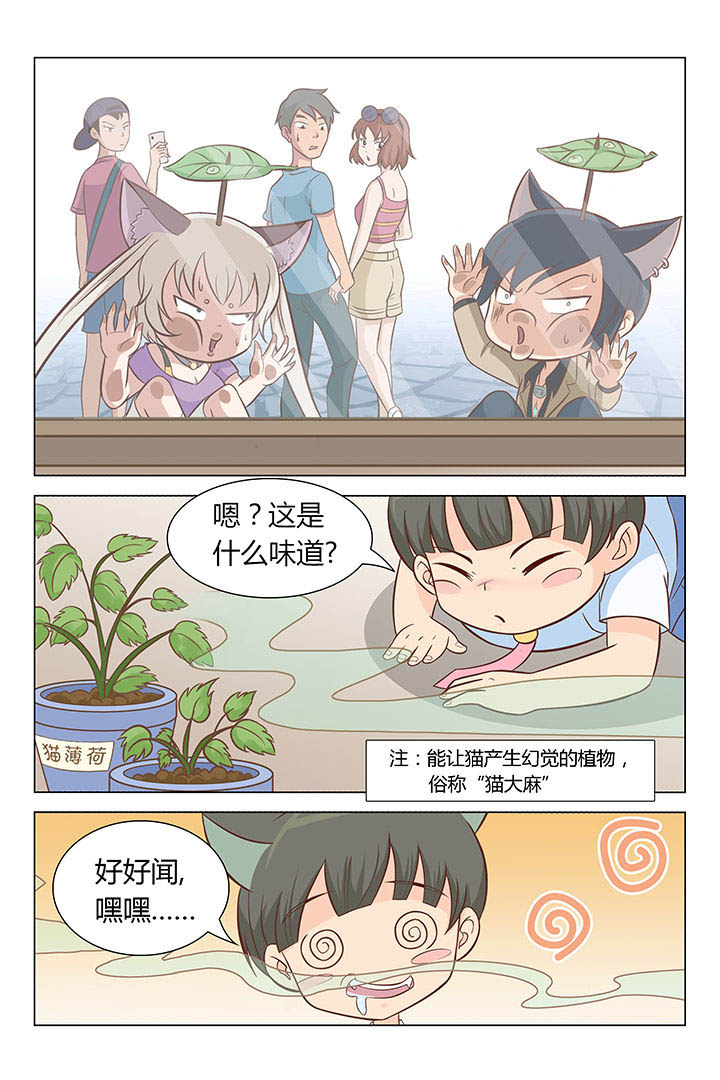 喵即正义漫画,第8章：1图