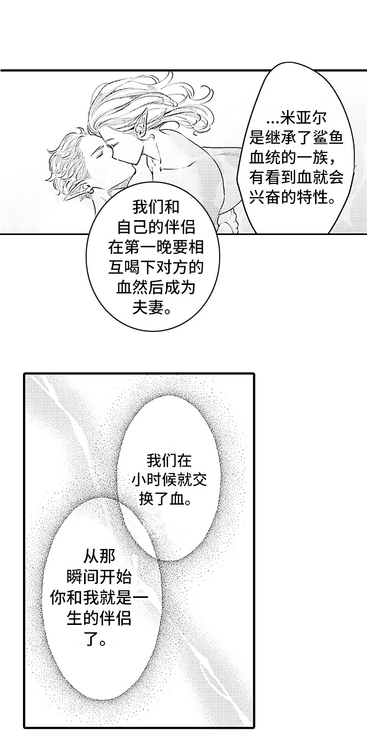 献给鲨鱼家族在线观看漫画,第25章：忘不掉2图