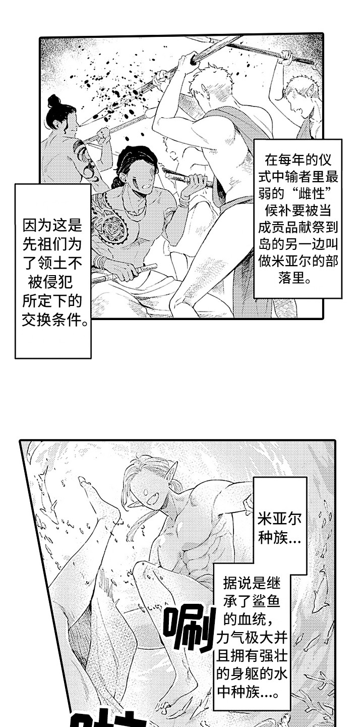 献给鲨鱼漫画,第1章：特殊种族1图