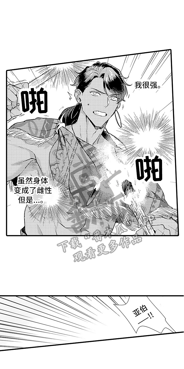 献给鲨鱼家族车图漫画,第23章：配合2图