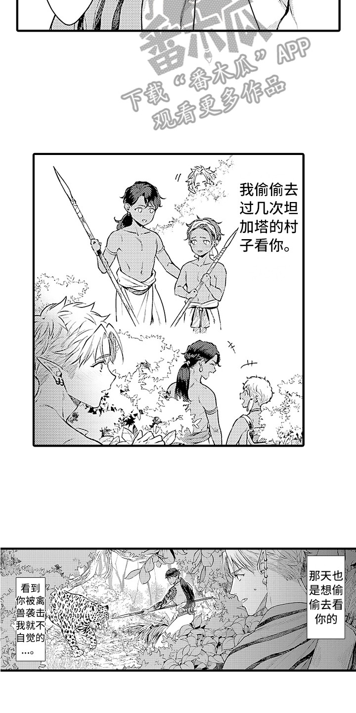 献给鲨鱼家族漫画番木瓜漫画,第25章：忘不掉1图