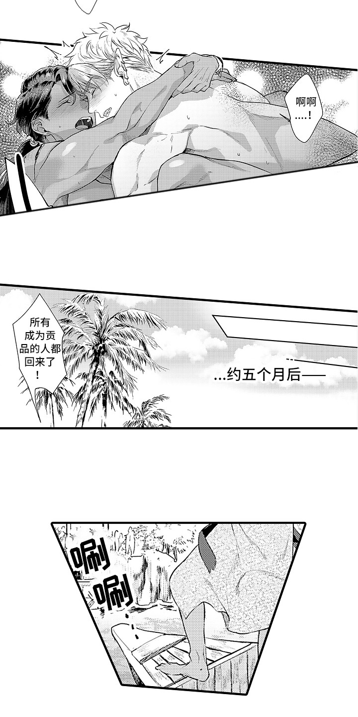 鲨鱼家族主题曲漫画,第31章：归乡2图