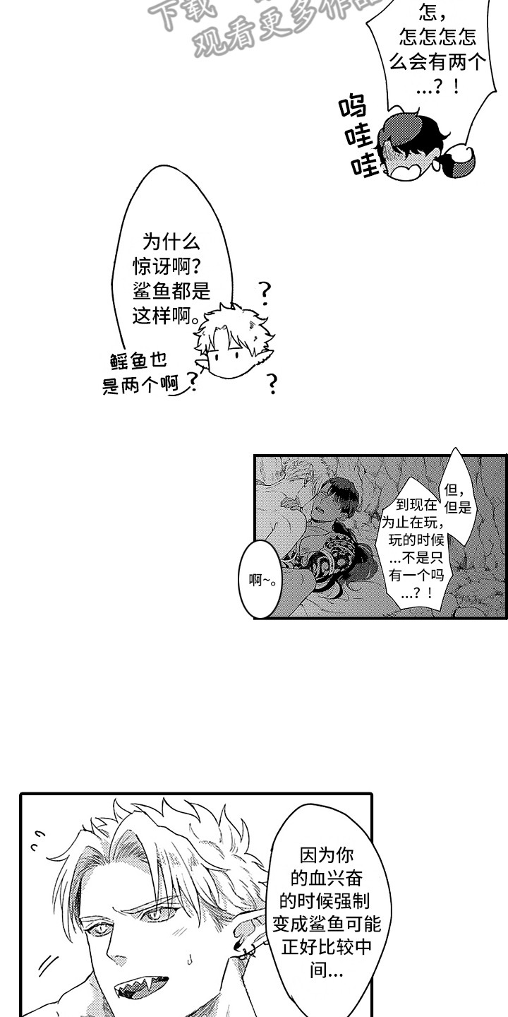 献给鲨鱼家族一耽里叫什么漫画,第12章：好奇2图