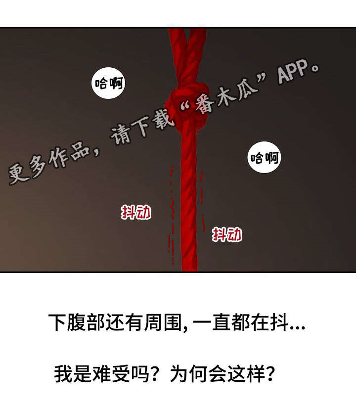 私人岛上别墅漫画,第16章：做梦2图