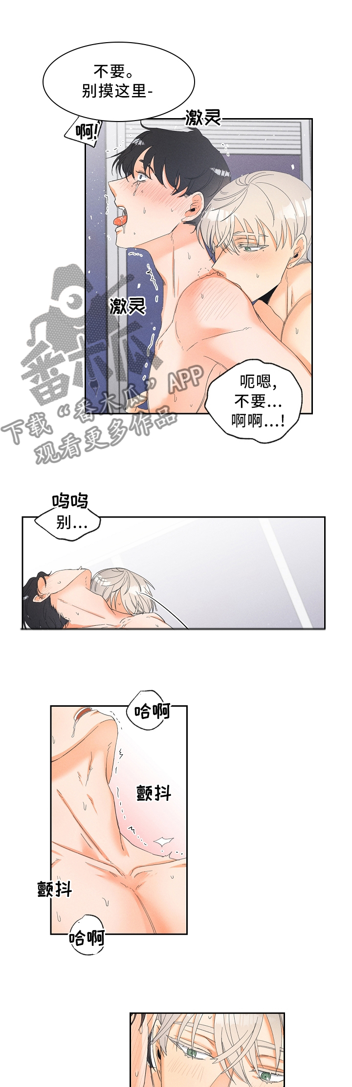 暗恋吴昕的男明星漫画,第49章：持续2图