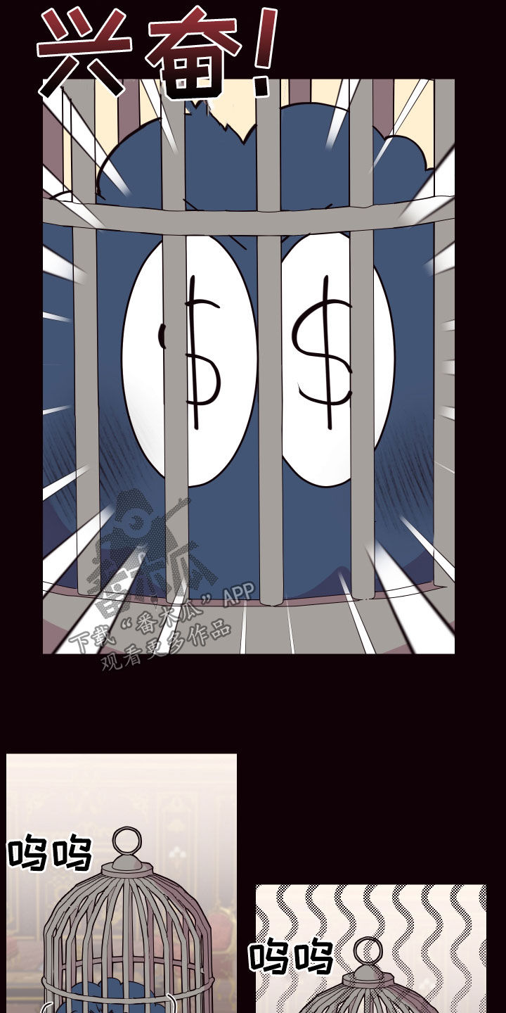 易次元软件漫画,第62章：门开了2图