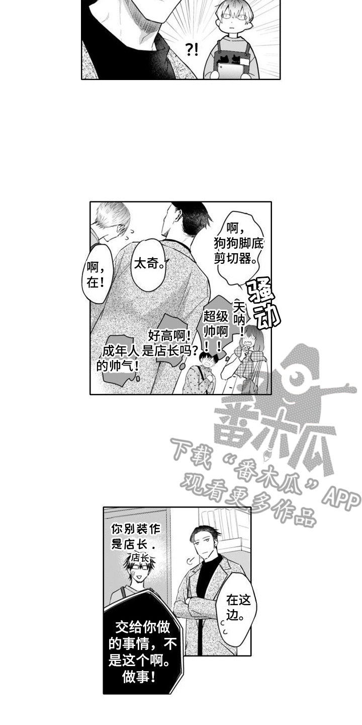 奇特的习俗漫画,第4章：很在意2图