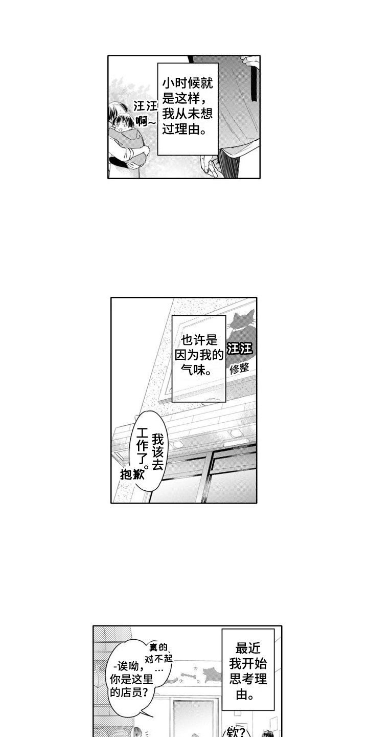 奇妙的香味漫画,第24章：变化明显2图