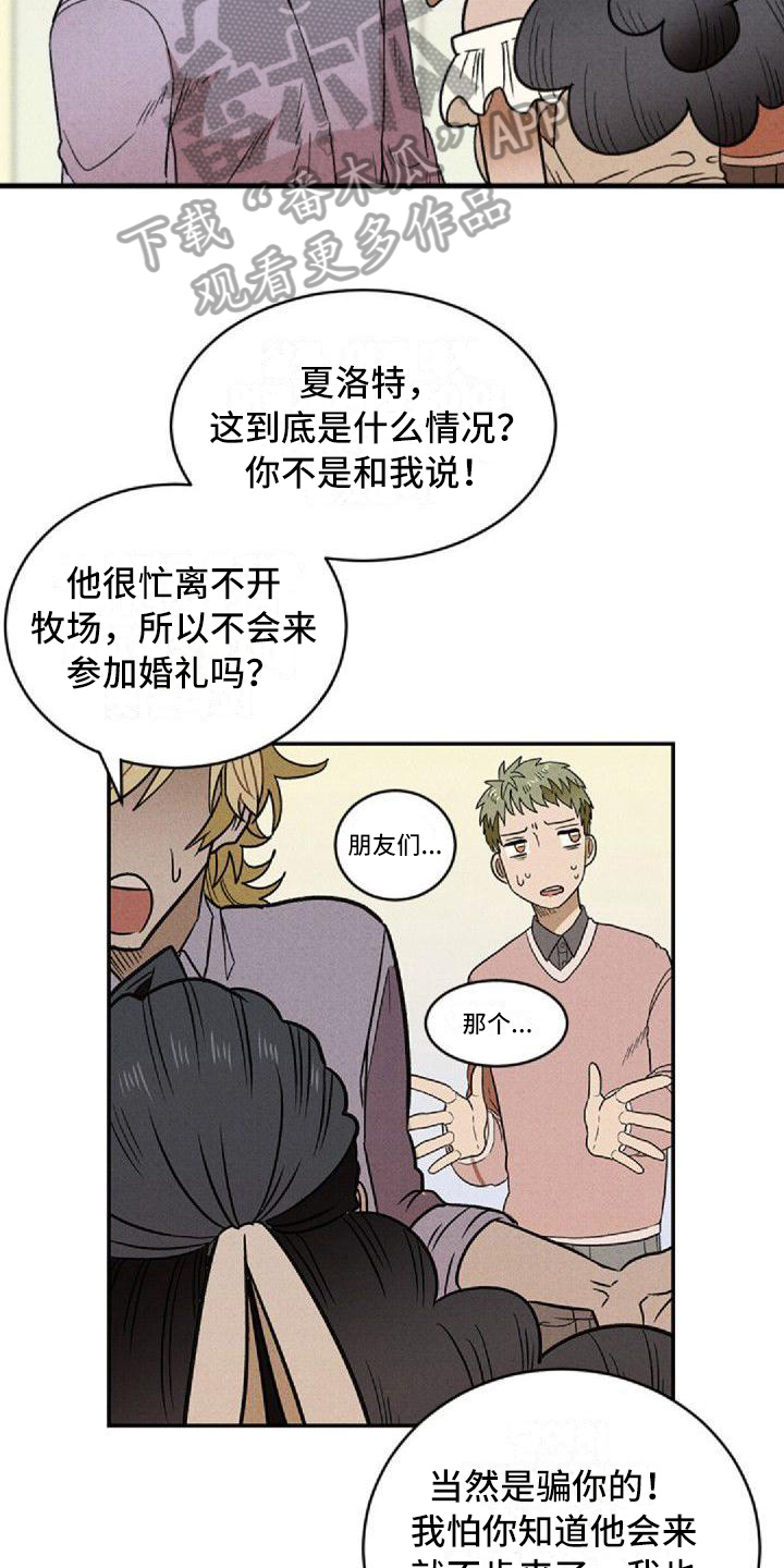 情感美文图片漫画,第4章：孽缘2图