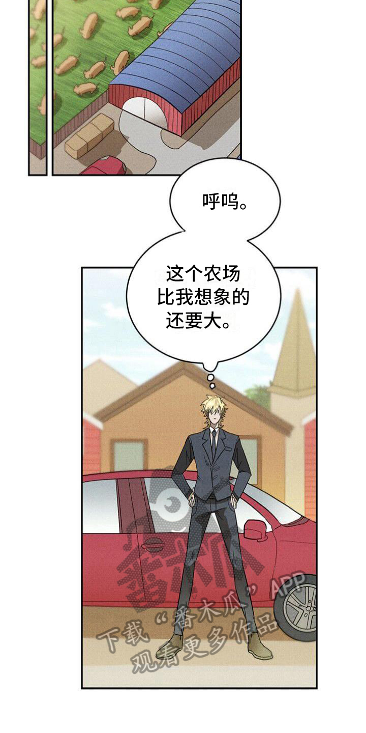 情感电视剧连续剧漫画,第13章：出差2图