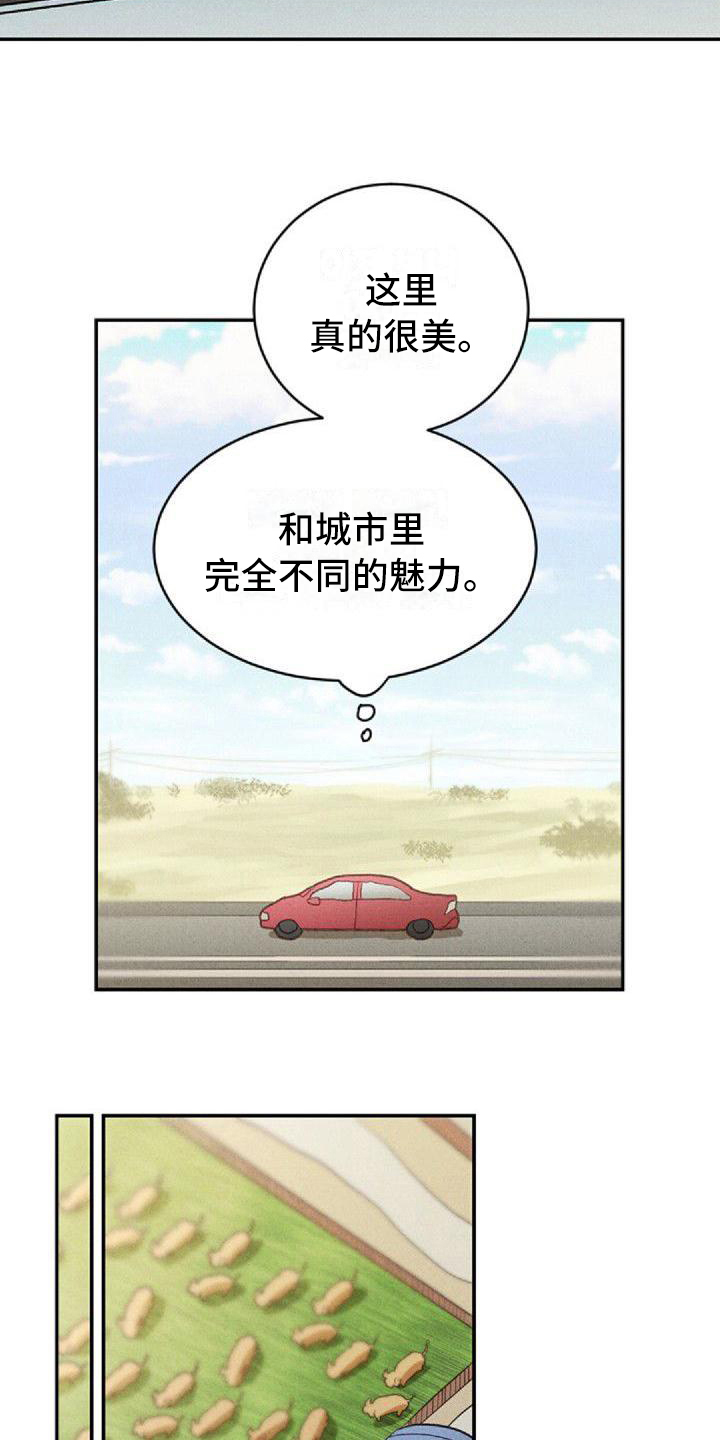 情感电视剧连续剧漫画,第13章：出差1图