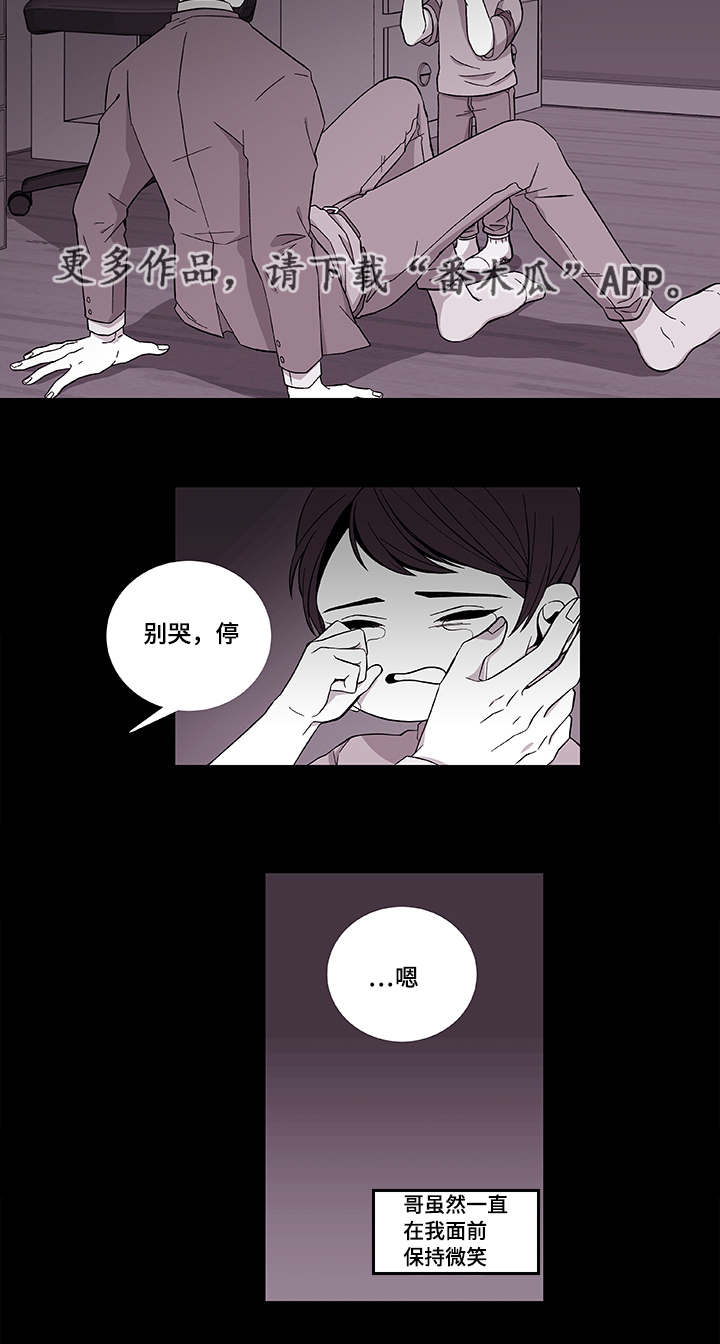 连锁效应的意思举例说明漫画,第39章：保护哥哥1图