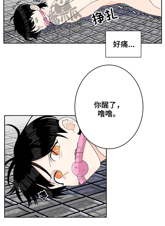 脆脆的萝卜腌制方法漫画,第52章：晕倒1图