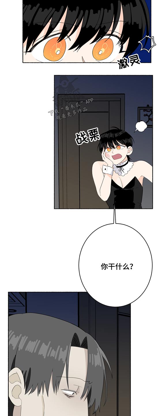 脆脆的菜漫画,第52章：晕倒2图