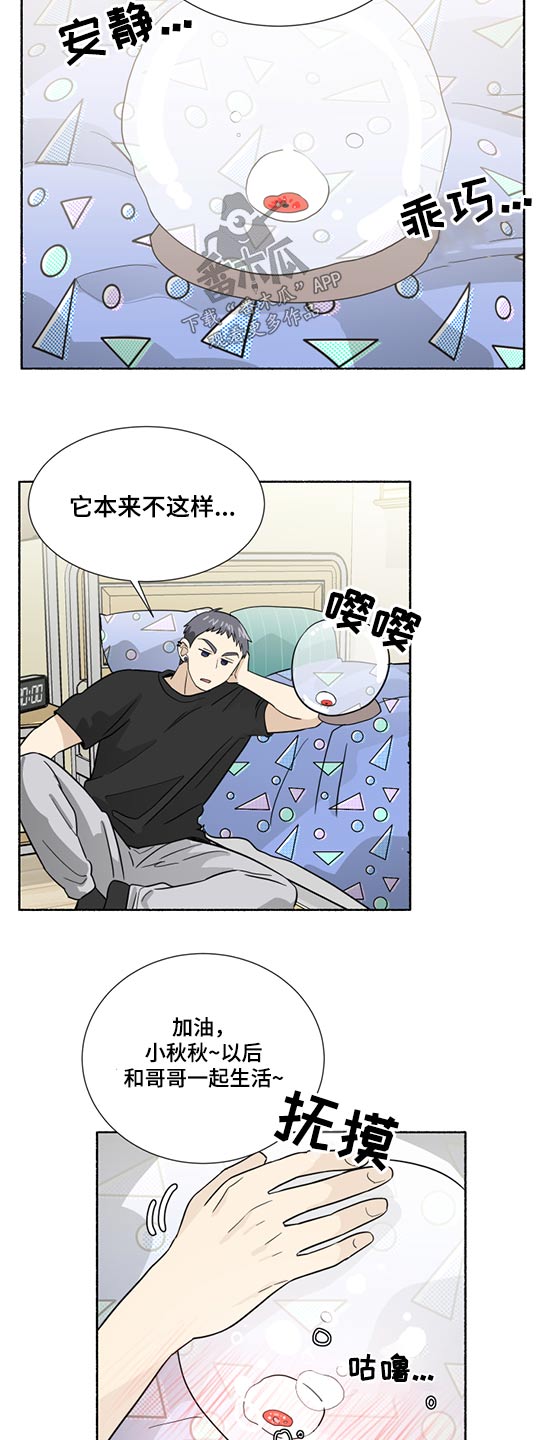 脆脆鲨威化饼干漫画,第62章：发光2图