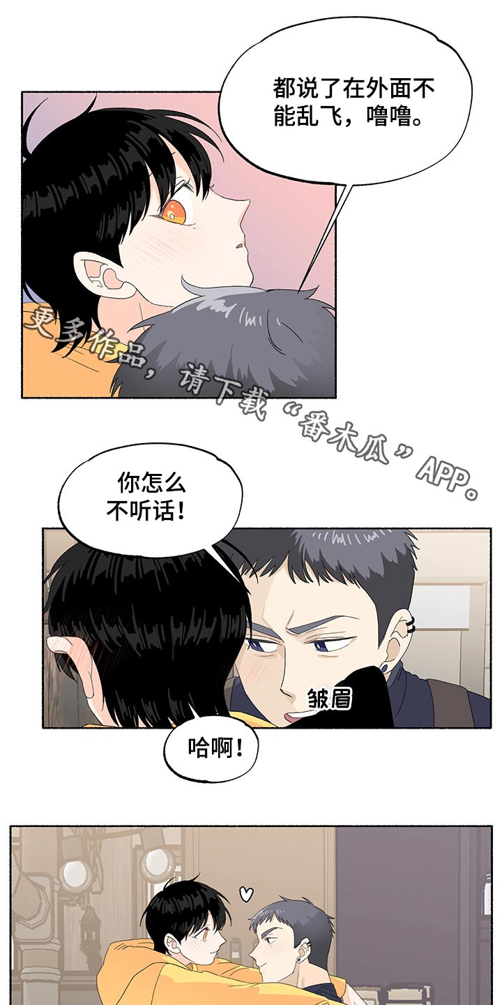 脆脆的什么?漫画,第40章：期待1图