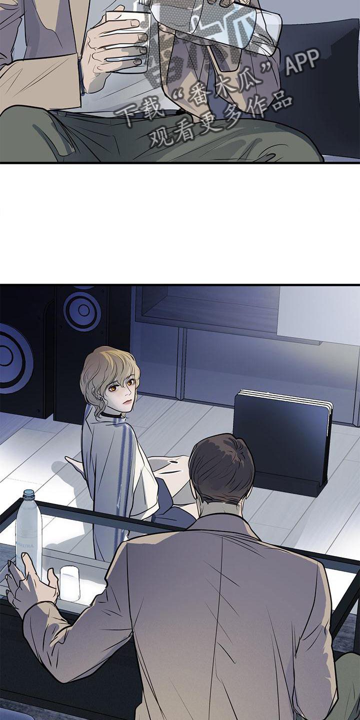 镜子里的陌生人免费观影漫画,第20章：到访2图