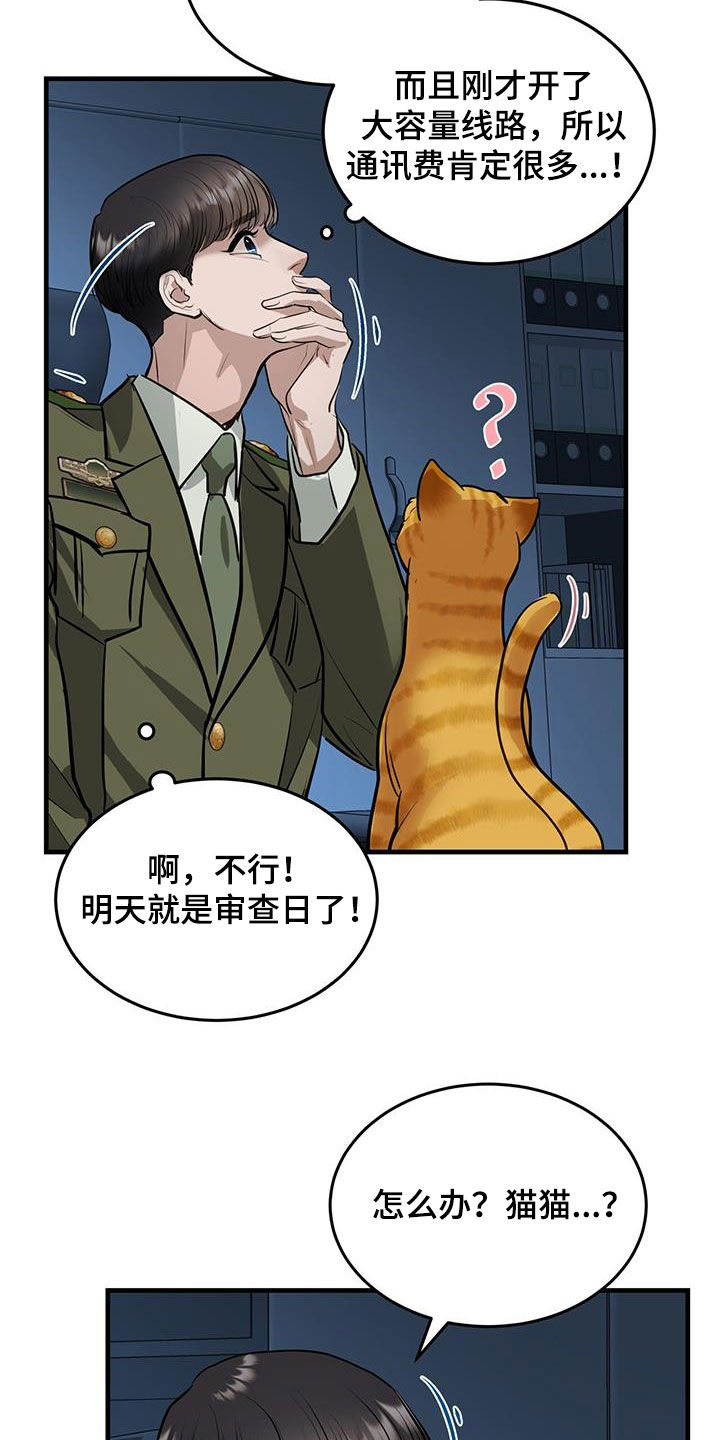 镜子里的陌生人书籍漫画,第31章：猫主人2图