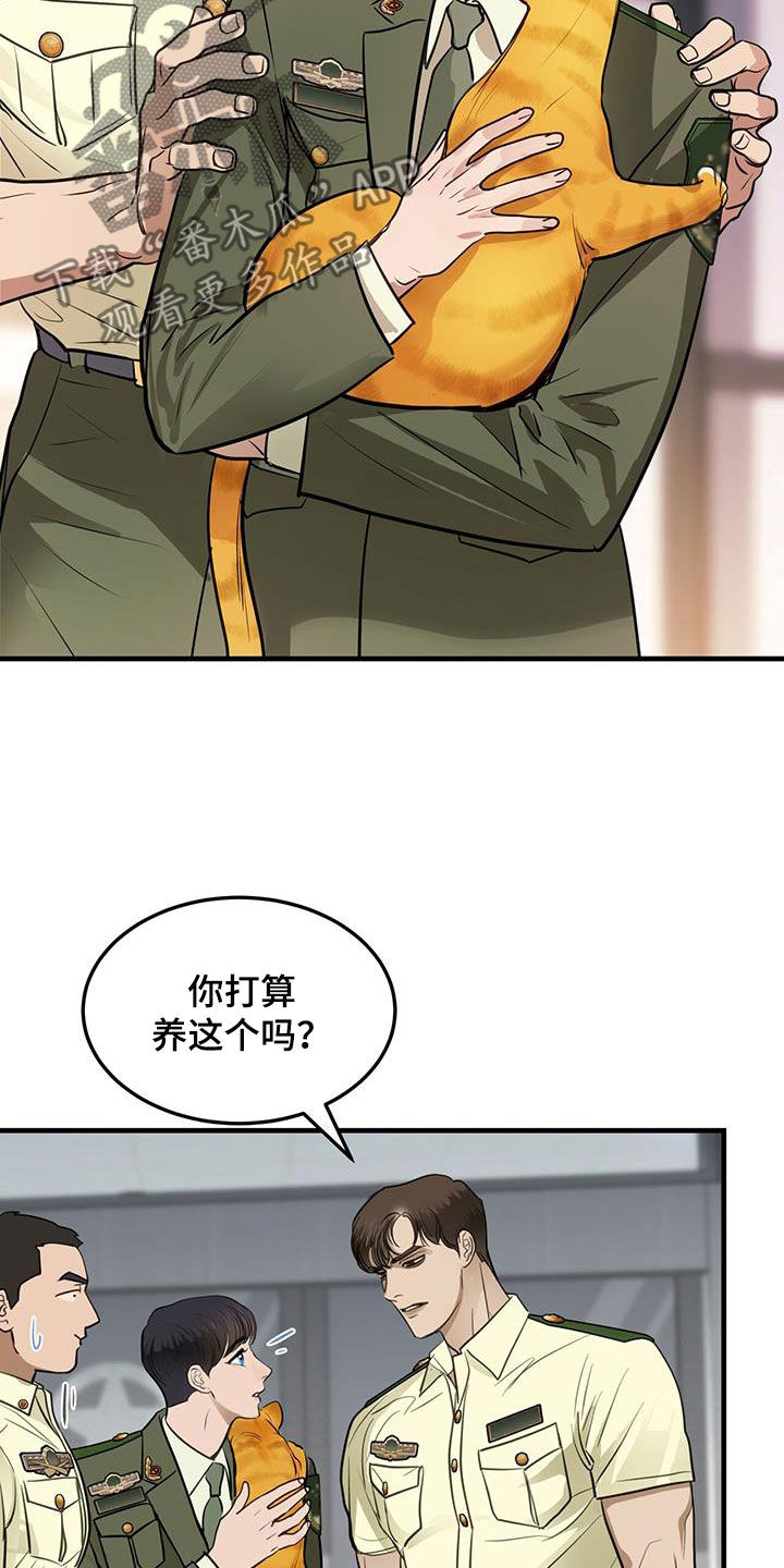 镜子里的陌生人免费观影漫画,第28章：对猫过敏2图