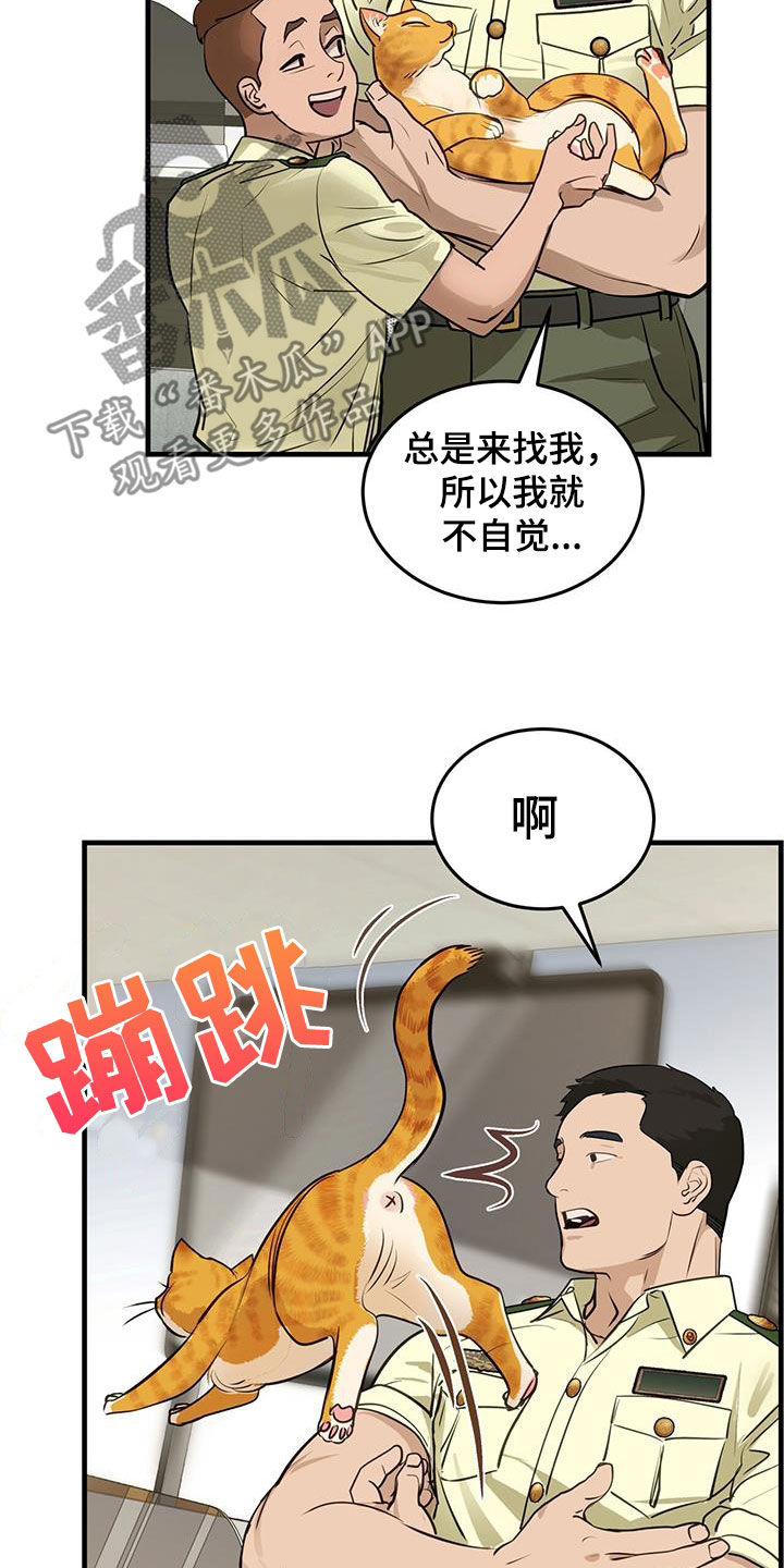 镜子里的自己陌生漫画,第28章：对猫过敏2图