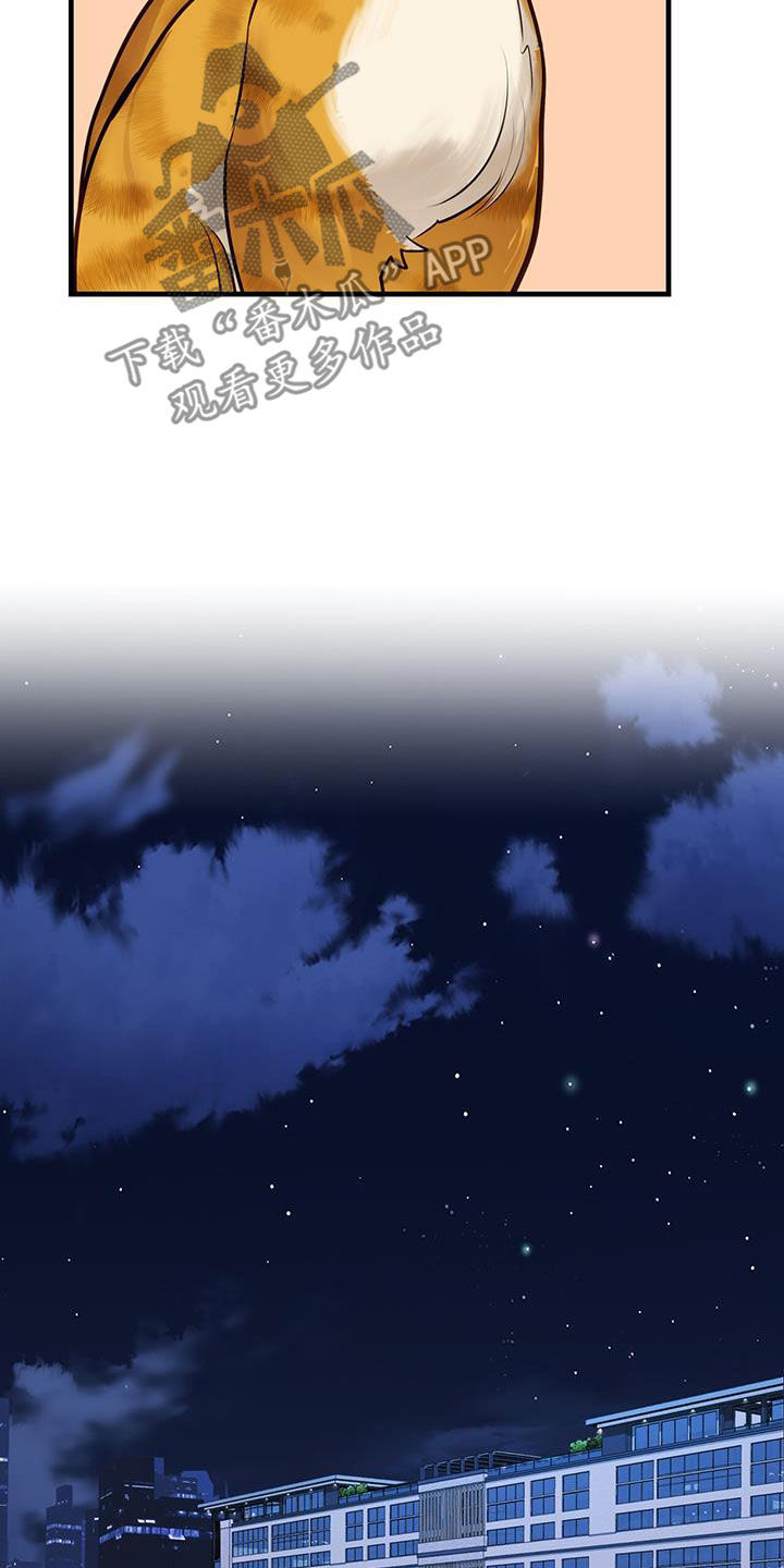 镜子里的陌生人免费观影漫画,第29章：名牌1图
