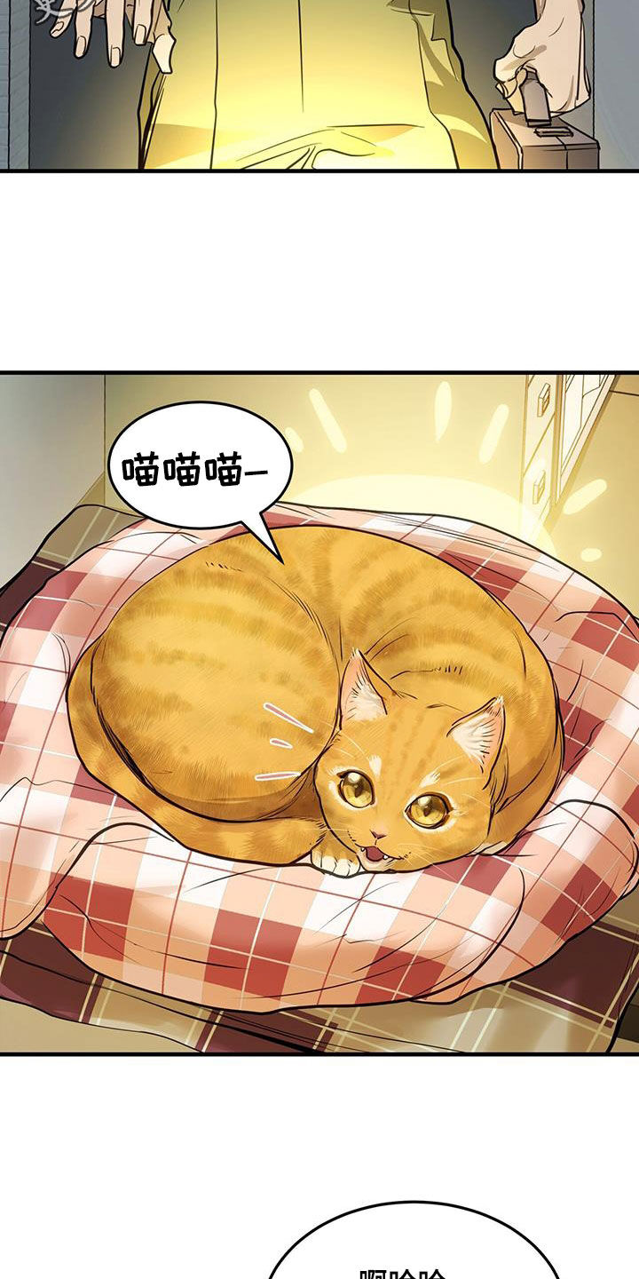 镜子里的陌生人电影原版漫画,第28章：对猫过敏2图