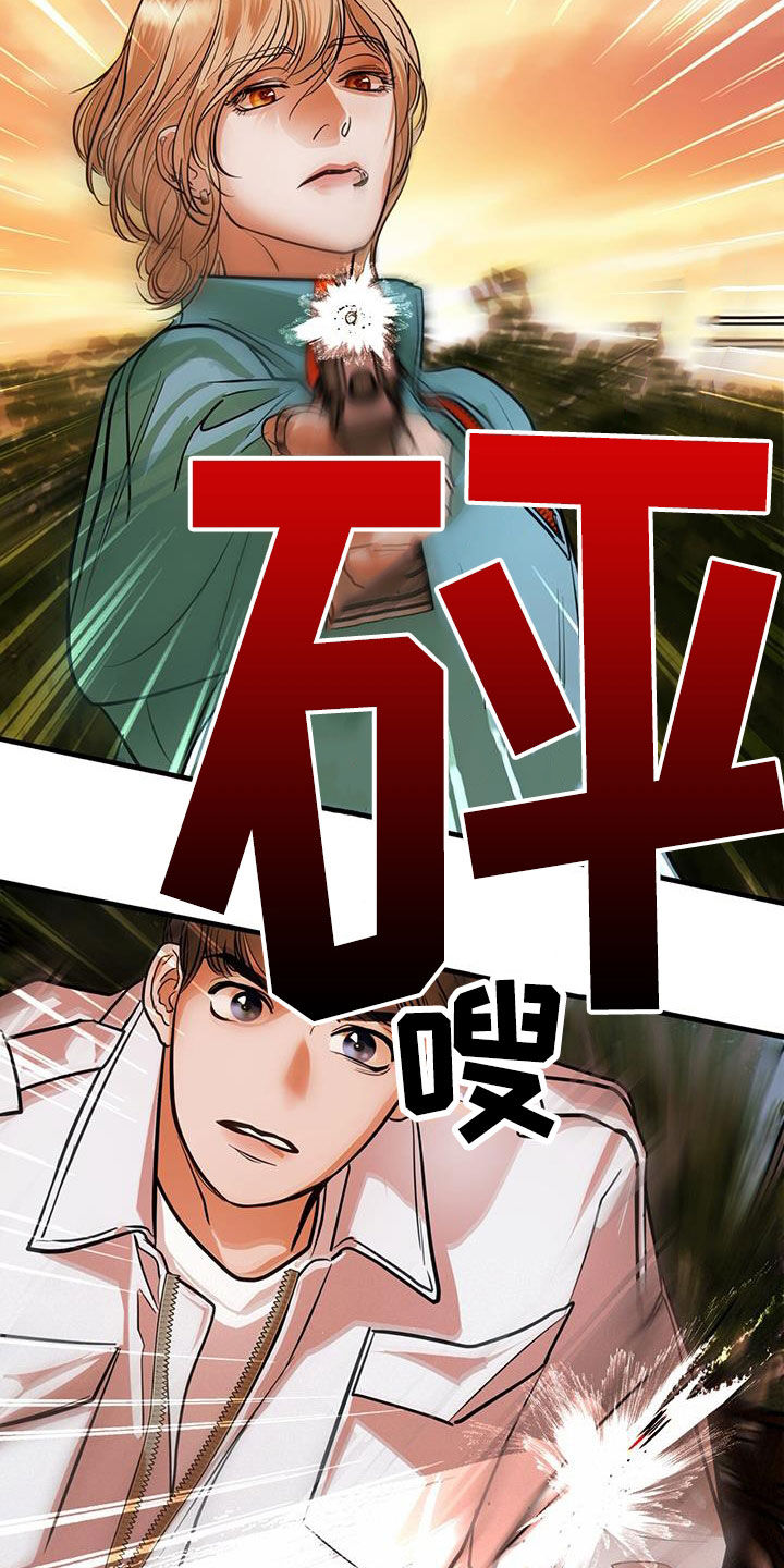 镜子里的陌生人免费观影漫画,第33章：第一原则1图