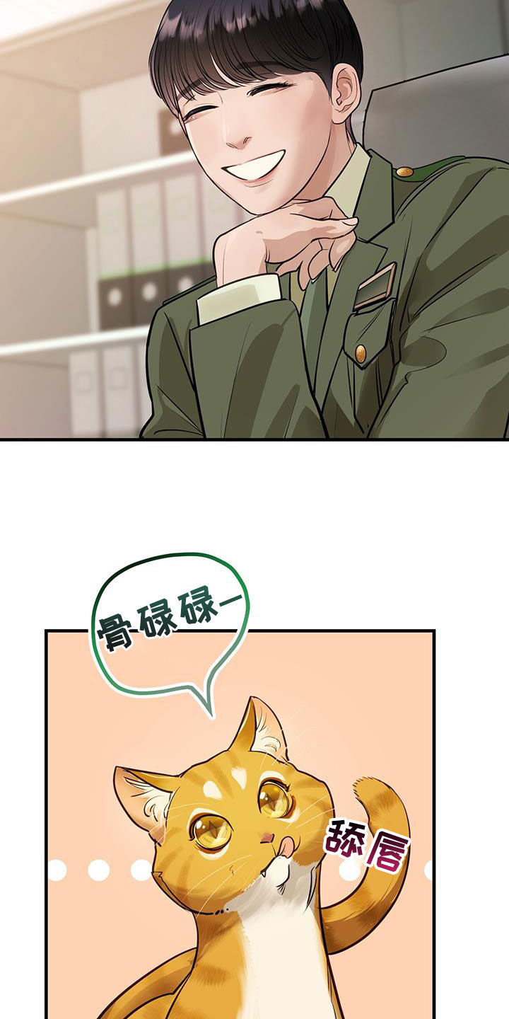 镜子里的陌生人免费观影漫画,第29章：名牌2图