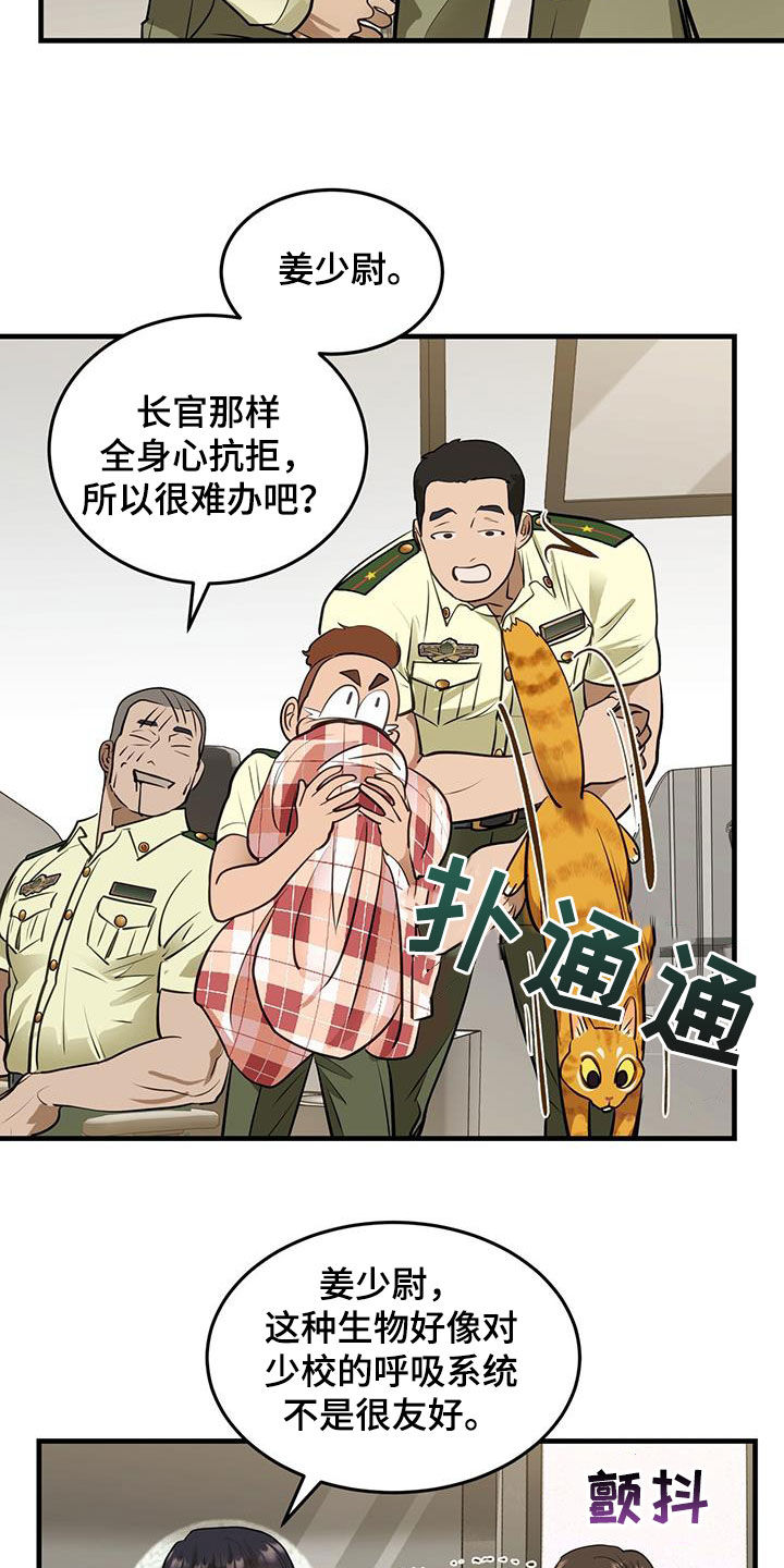 镜子里的陌生人书籍漫画,第28章：对猫过敏1图