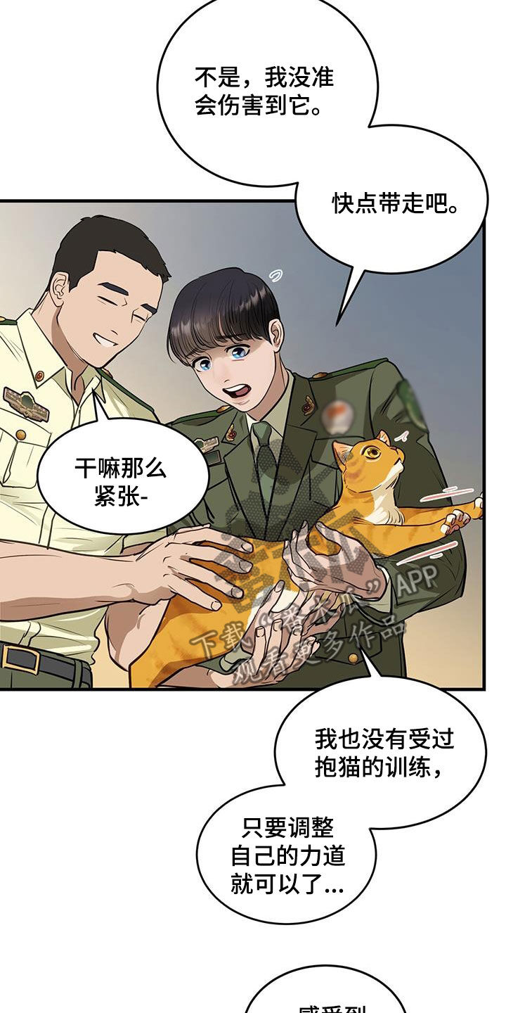 镜子里的陌生人书籍漫画,第28章：对猫过敏1图