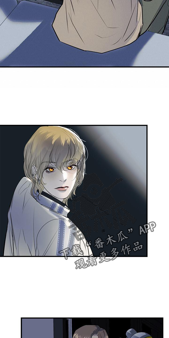 镜子里的陌生人免费观影漫画,第20章：到访1图
