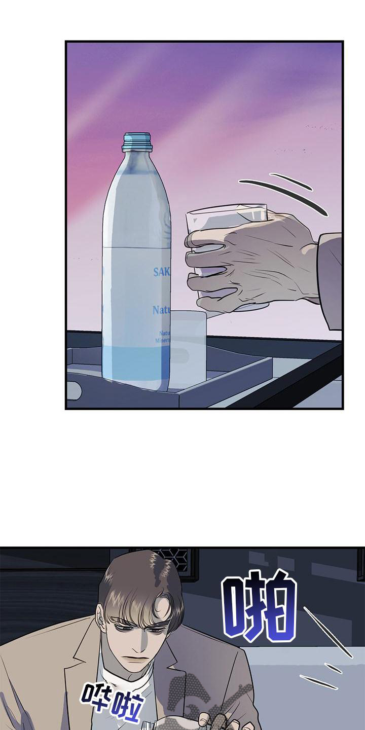 镜子里的陌生人免费观影漫画,第20章：到访1图