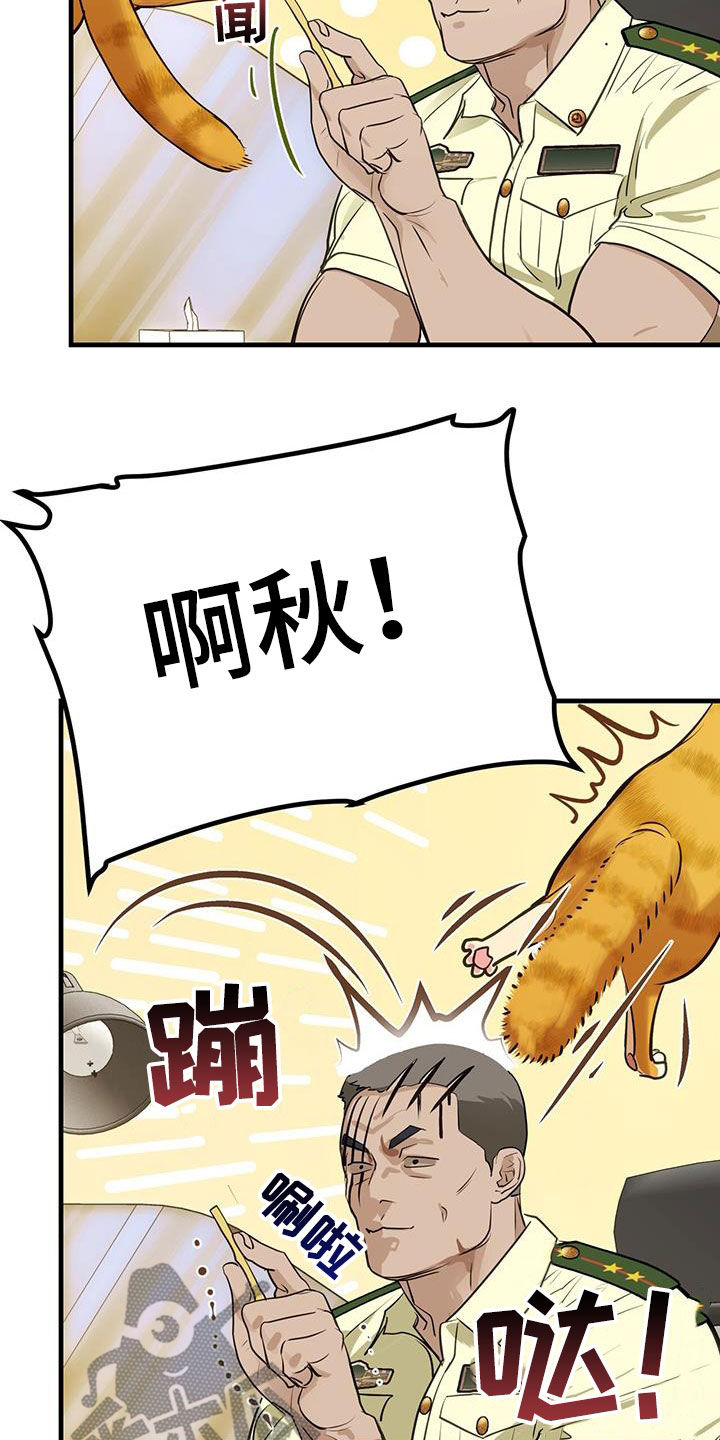 镜子里的自己陌生漫画,第28章：对猫过敏2图