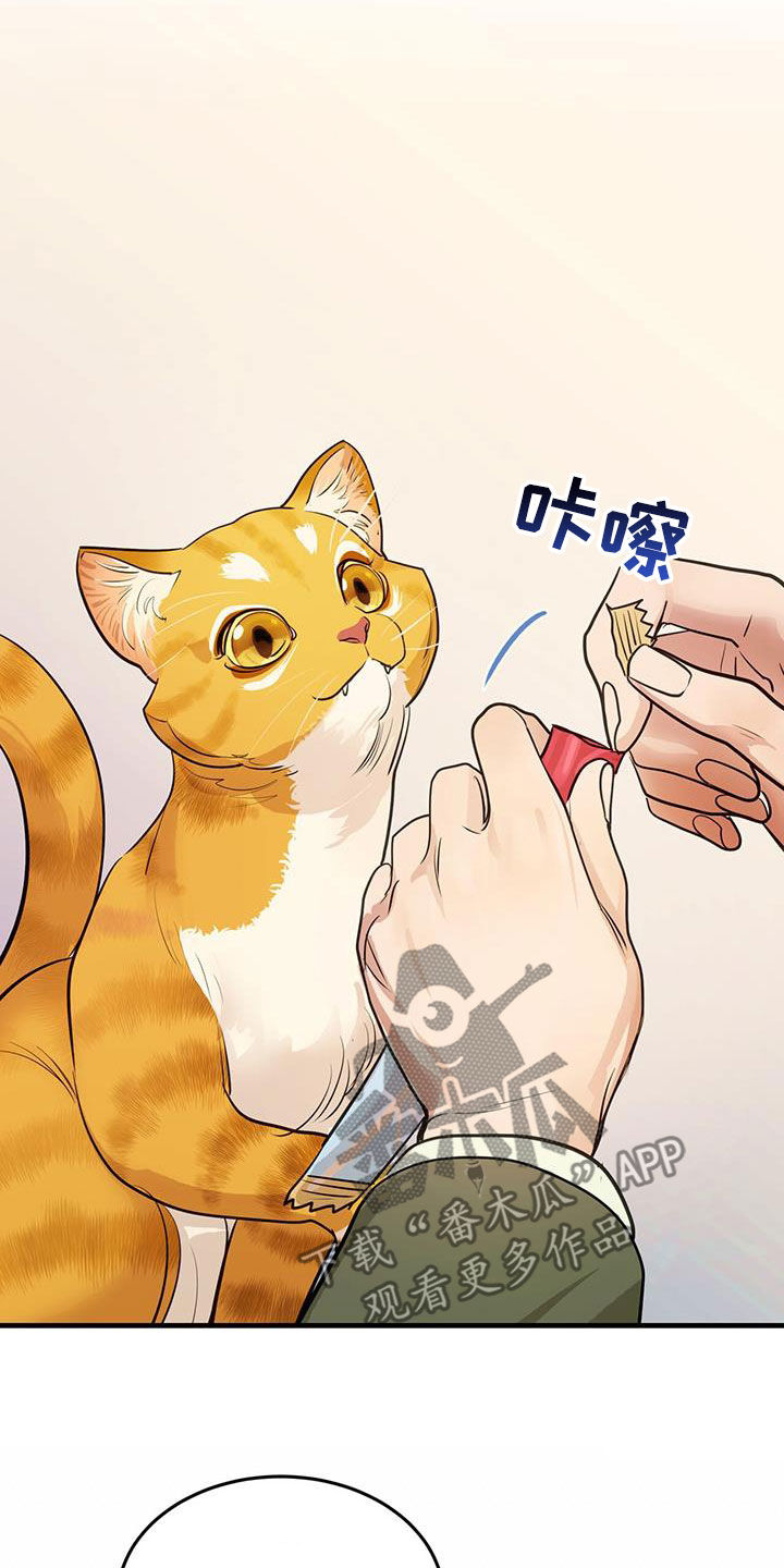 镜子里的陌生人免费观影漫画,第29章：名牌2图