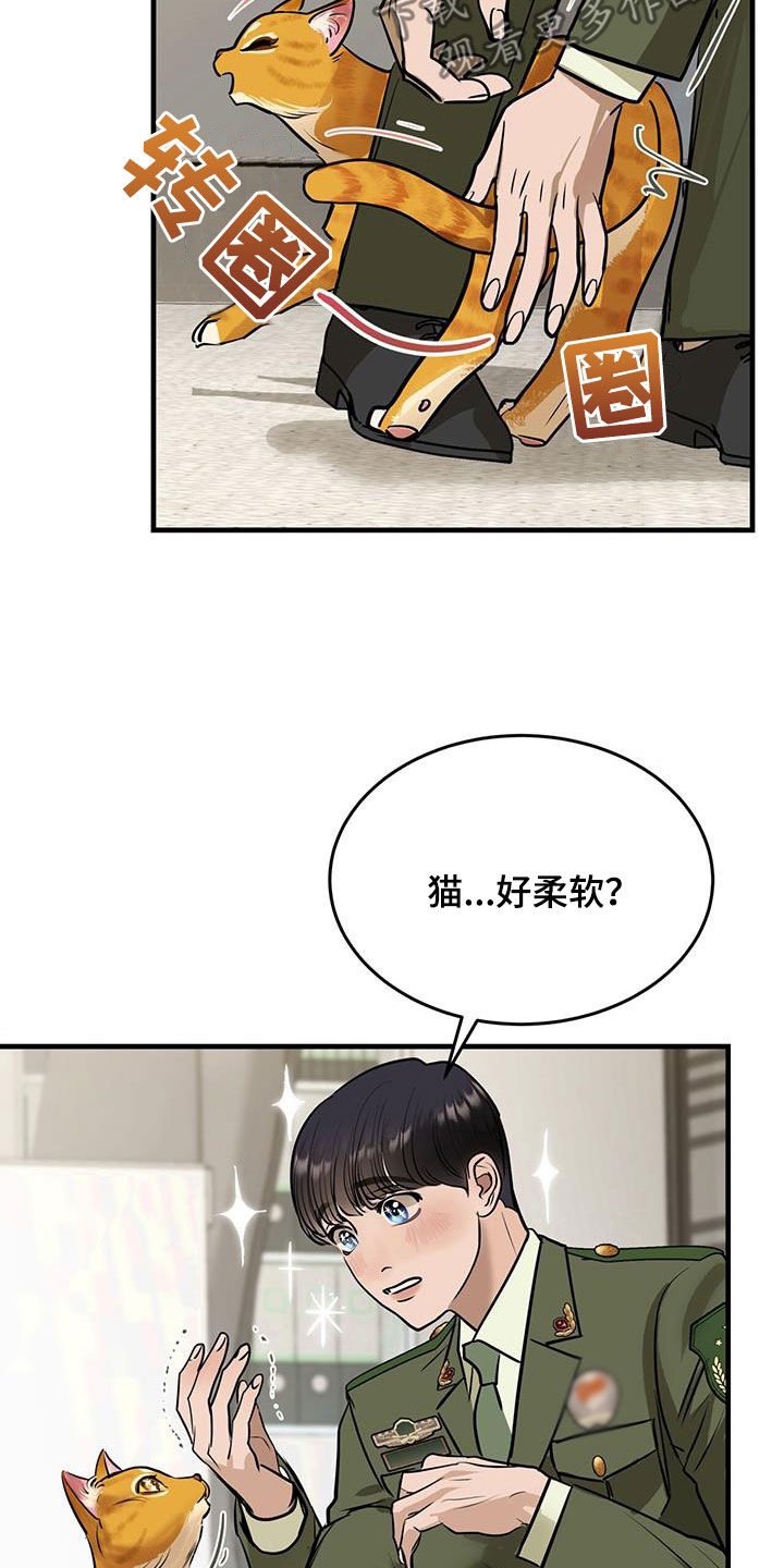 镜子里的陌生人书籍漫画,第28章：对猫过敏1图