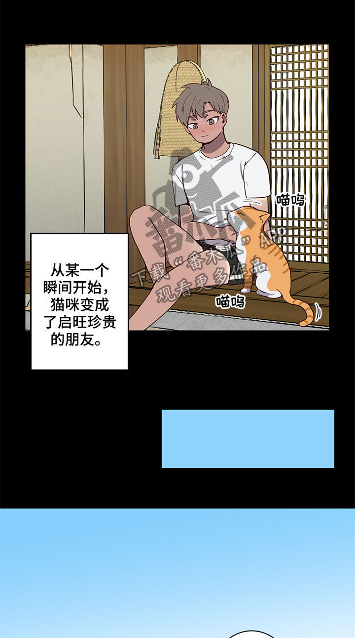 水幕墙隔断漫画,第27章：论坛2图