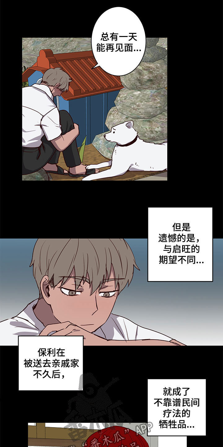 水幕墙隔断漫画,第27章：论坛1图