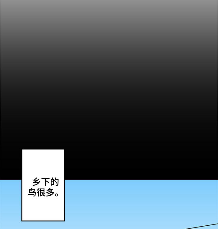 水幕墙制作漫画,第27章：论坛1图