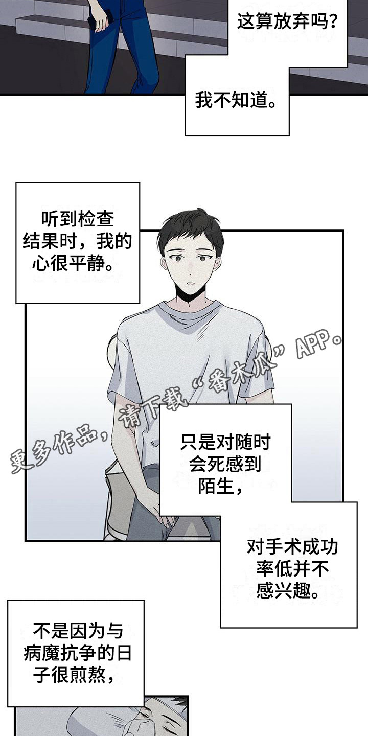 暧昧的情话漫画,第12章：匡威2图