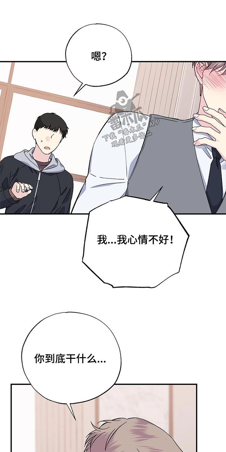 暧昧误会漫画在线阅读漫画,第106章：一种幸福1图