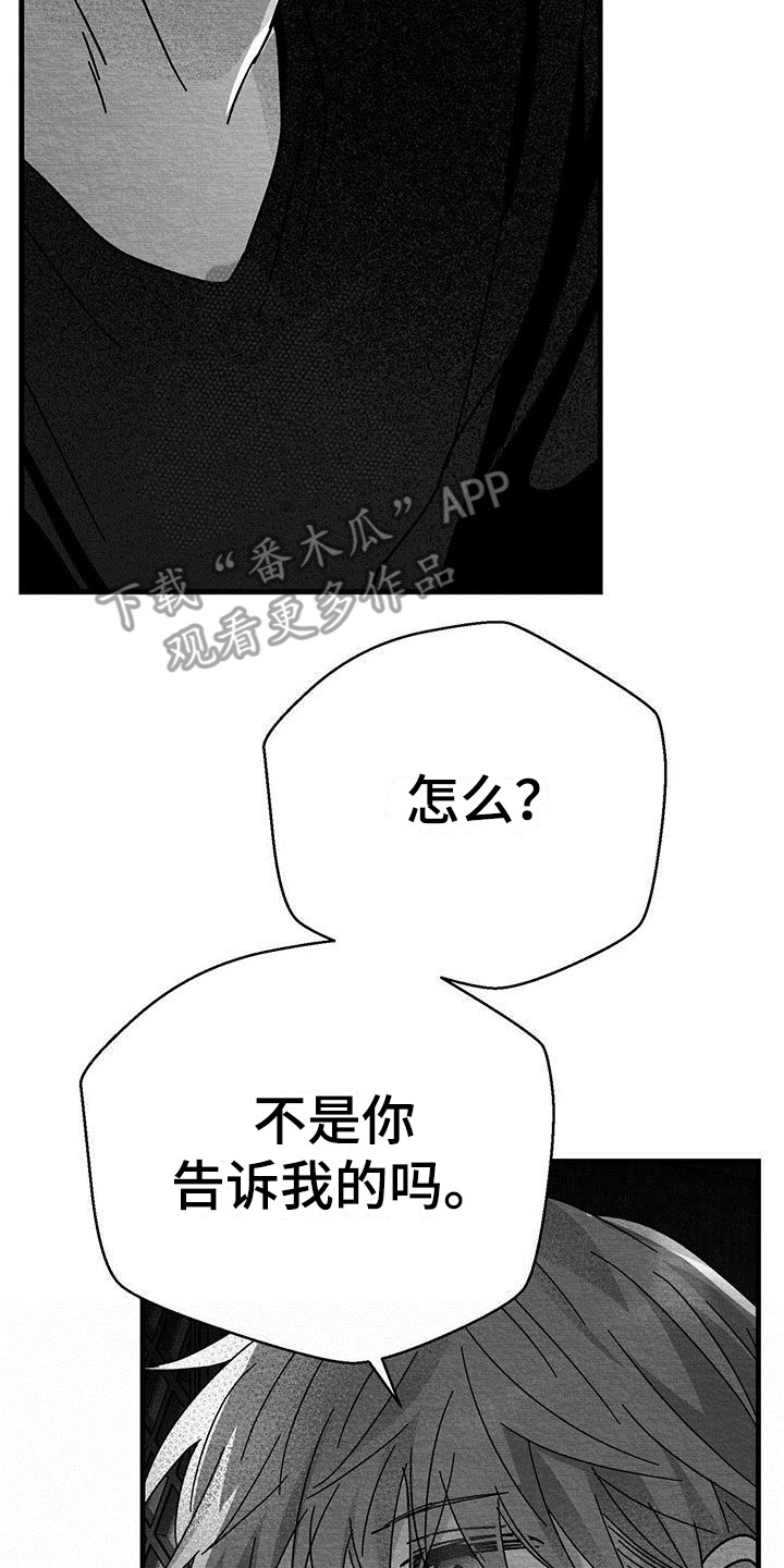 白鳞铁树的养殖方法漫画,第11章：被打晕2图