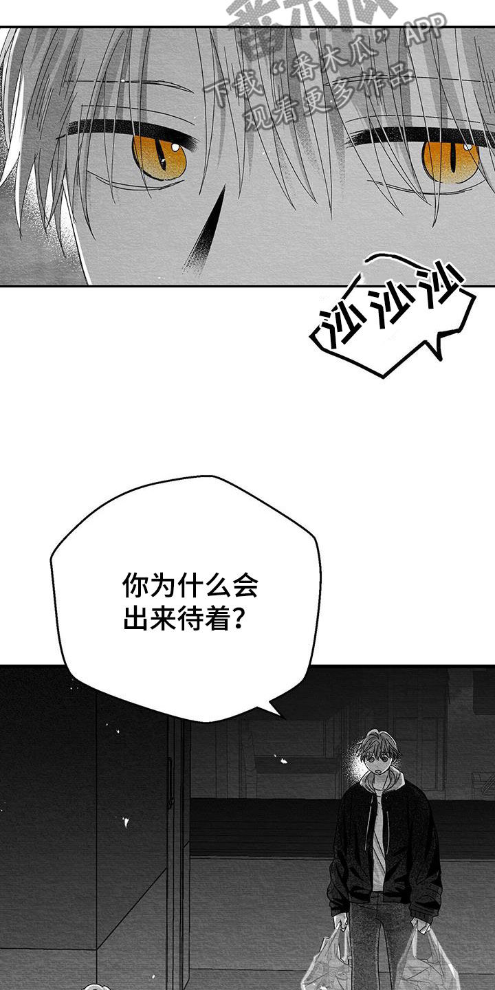 白鳞铁树的养殖方法漫画,第26章：善变2图