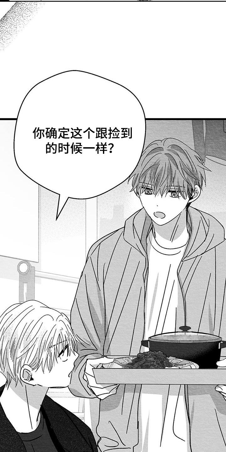 白鳞鱼价格多少一斤漫画,第28章：变数2图