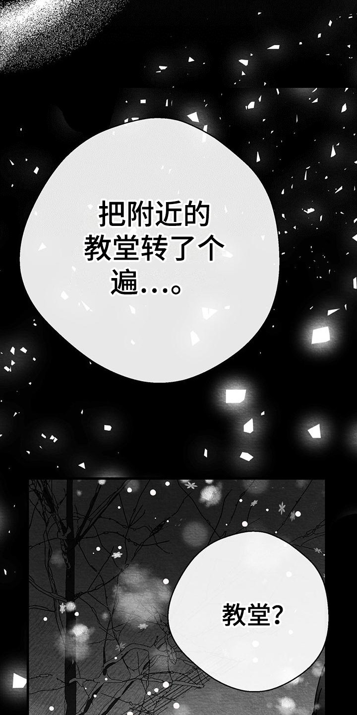 白鳞铁树的养殖方法漫画,第18章：询问2图