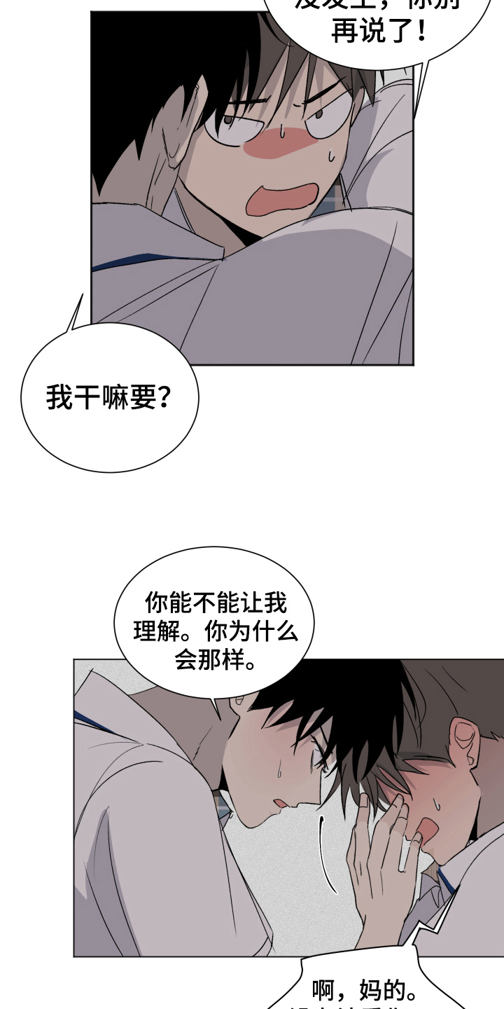 夏夜之恋免费在线阅读漫画,第13章：喜欢2图