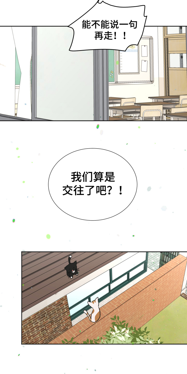 夏夜之恋漫画在哪看全集漫画,第14章：交往2图