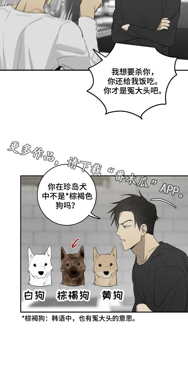 黑犬中华田园犬漫画,第9章：问题1图